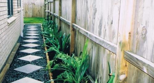 Planting for foliage texture with Hen & chicken ferns & Clivia.