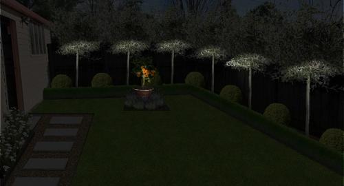 Lights on Olive trees & feature pot creates interest