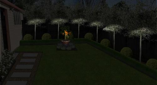 Entrance of Property Lights on Olive trees & feature pot creates interest