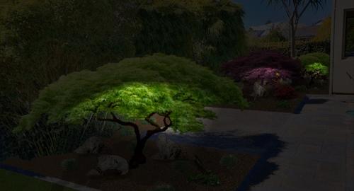 Lighting up the Maples creates an area to admire & enjoy in the evenings.