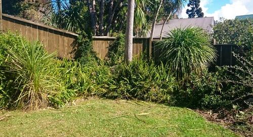 Looking down from deck to small unkept courtyard with an old wooden fence.