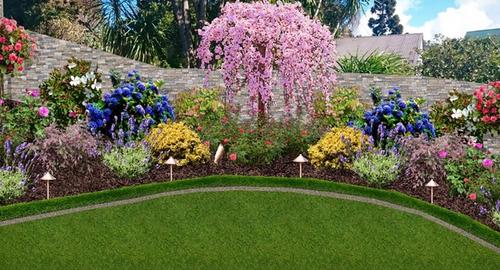 Courtyard Create an English garden with a weeping cherry as the feature with a small Buxus hedge as an edging to the garden.