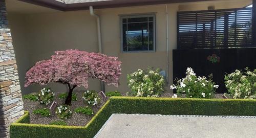 Front of House Entrance to house after using landscape imaging showing clean and tidy repeat planting. This now creates a visually attractive entry to house.