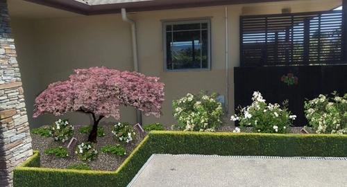 Entrance to house after using landscape imaging showing clean and tidy repeat planting. This now creates a visually attractive entry to house.