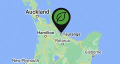 We are located in Tauranga and service locations all across the Bay of Plenty. For all your landscape, small garden ideas and all your outdoor living area requirements.  