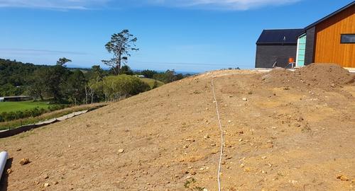 To stabilise the bank and be in harmony with your surrounding area planting the bank in NZ native plants is required. 