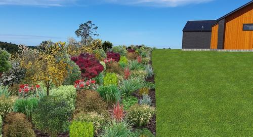 With NZ native plants start with the smaller growing plants at the top of the bank and as you go further down the bank introduce plants with more height. This will prevent you from losing your view, doesn’t close your house area in or create too much shade. By nestling your house into the area you also create a haven for native birds.