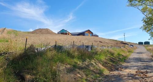 Large Native Bank Looking Up To stabilise the bank and be in harmony with your surrounding area plant your bank in NZ native plants